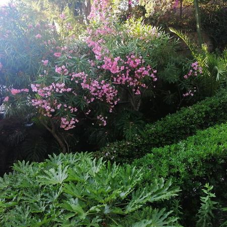 Il Gioiello Nel Parco - Sanremo Apartments Bagian luar foto