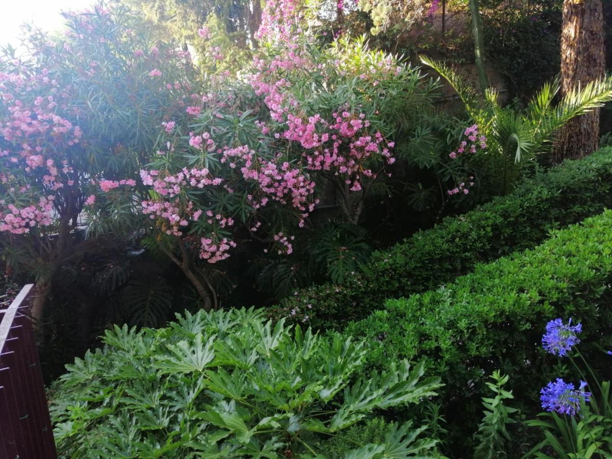 Il Gioiello Nel Parco - Sanremo Apartments Bagian luar foto